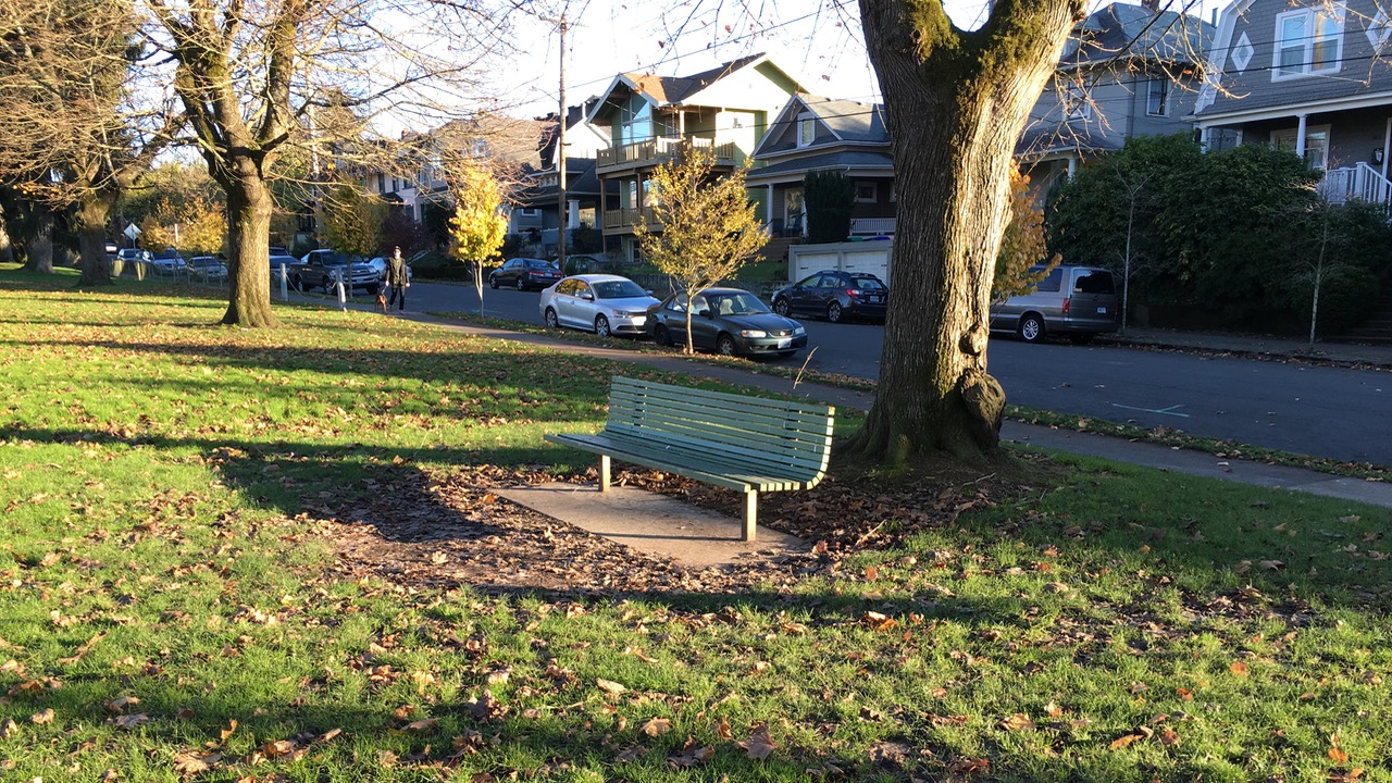 Park bench with neighborhood homes in the background